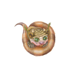 Berglubold