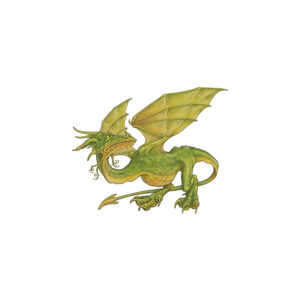 Drache